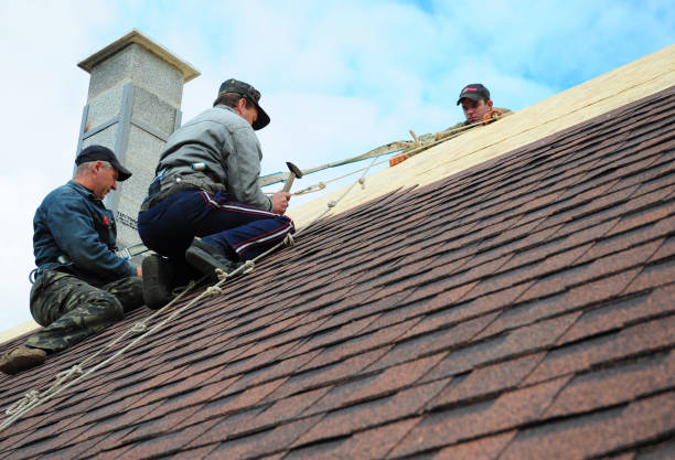Best Shingle Roofing Installation  in Utica, MI