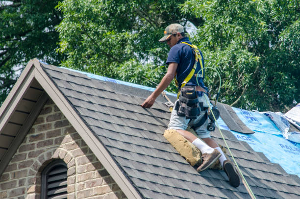 Best Affordable Roof Replacement  in Utica, MI